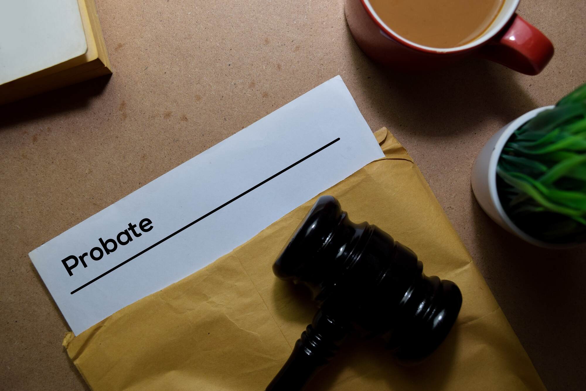 probate-litigation-florida